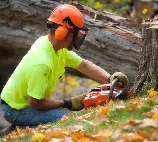 tree services Lebanon